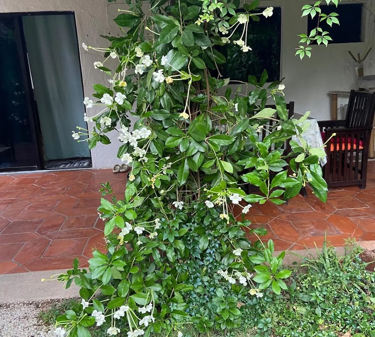 Apartment Charming Very Quiet Center Renewed Playa del Carmen